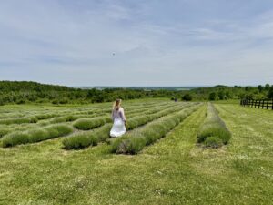 Purple Hill Lavender Farm
