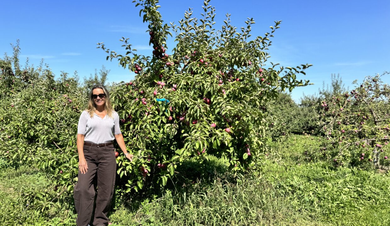 Autumn Adventures in the Blue Mountains